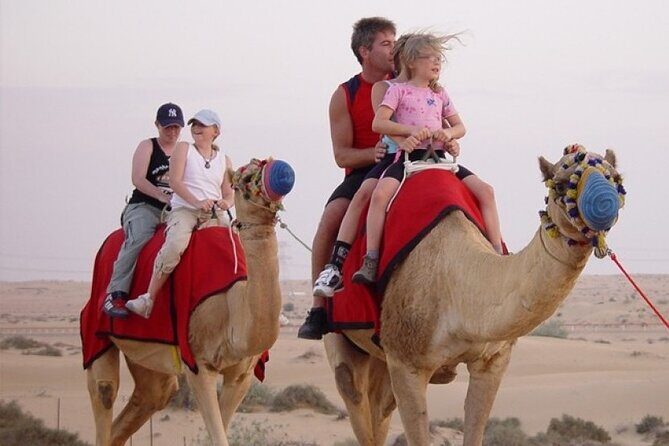 Red Dune Desert Safari with Dinner Quad Bike and Camel Ride - The Value of This Tour