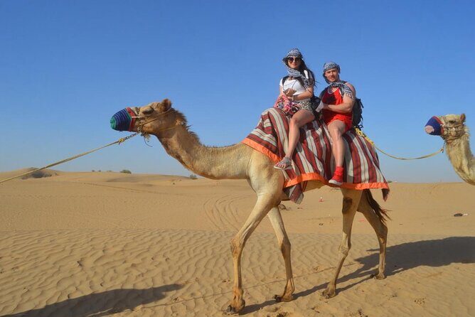 Red Dune Safari with Quad bike & Sandboarding - An In-Depth Look at the Experience