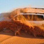Red Dunes Desert Safari, Sand Board, Camel Ride with BBQ Dinner - The Food: A Hearty BBQ Dinner