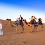 Red Dunes Desert Safari with 4x4 Pick up & Drop, Camel ride, BBQ and Live shows - The Value of This Tour