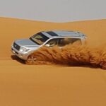 Red Dunes Desert Safari with BBQ Dinner - What Reviewers Say About the Experience