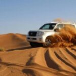 Red Dunes Dubai Desert Safari with Live show, Sandboarding & BBQ - Practical Details and What You Need to Know