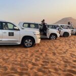 Red Dunes Lahbab Desert Safari With BBQ Dinner - What You Should Know Before Booking