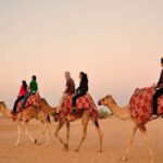 Red Dunes Safari with BBQ dinner, Falcon and Camel Ride - What Makes This Tour Stand Out?