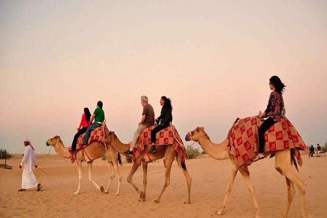 Red Dunes Safari with BBQ dinner, Falcon and Camel Ride - What Makes This Tour Stand Out?