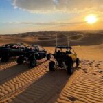 Red Sand desert safari with Quadbike option - Who Will Love This Tour?