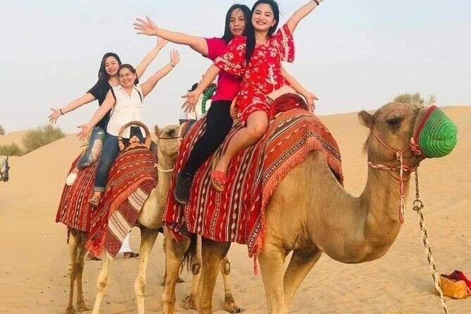 Red Sand Lahbab Desert Safari Adventure - The Itinerary: What to Expect from Start to Finish