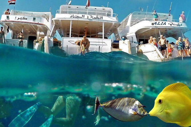 Red Sea Snorkeling Hurgada - FAQs