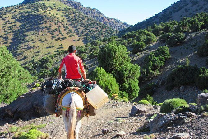 RED VALLEY( Azzaden ) 2 DAY TREK in Atlas Mountains - An Overview of the 2-Day Red Valley Trek Experience