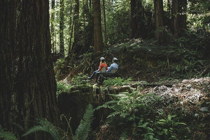 Redwoods Railbike Along Pudding Creek - Who Would Love This Tour?