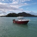 Reef Safari - Snorkeling, Fish Feeding & Lunch (Private Day Trip) - The Value of This Tour