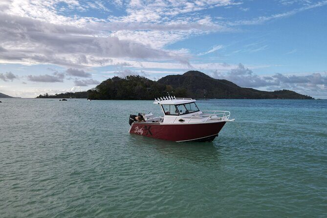 Reef Safari - Snorkeling, Fish Feeding & Lunch (Private Day Trip) - The Value of This Tour