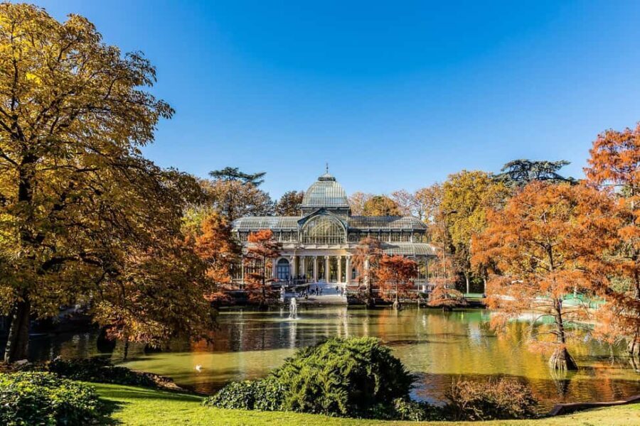 Reina Sofia Museum + Retiro Park with Spanish Aperitivo - Why This Tour Stands Out