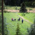 Reindeer Hike in Kuusamo nature - Why This Tour Works for Travelers