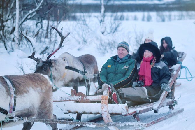 Reindeer Sledding and Feeding with Sami Culture in Tromso. - Who Should Consider This Tour?