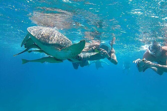 Relax and Snorkel at Orange Island Sea Trip In Hurghada - Authentic Insights from Reviewers