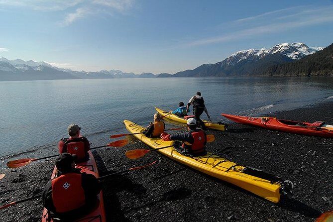 Resurrection Bay Kayaking Adventure - Value and Cost Analysis