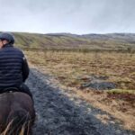 Reykjadalur: Horseback Riding Tour for Families & Beginners - The Itinerary: What to Expect