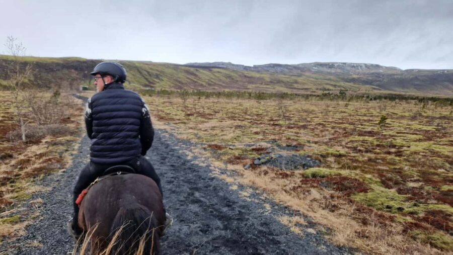 Reykjadalur: Horseback Riding Tour for Families & Beginners - The Itinerary: What to Expect
