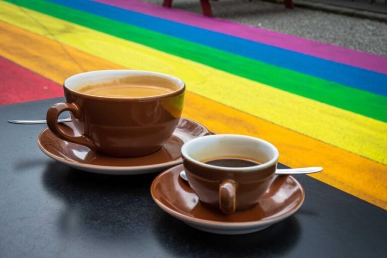 Reykjavík: Private LGBTQ+ Walking Tour with a Local Guide - Authentic Reviews and Insights