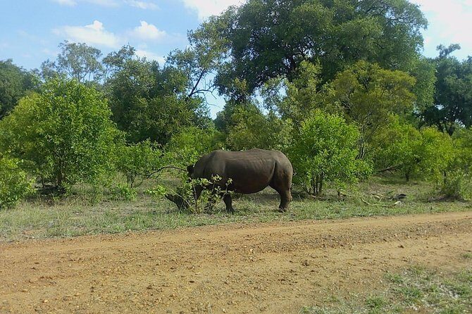 Rhino & Nature walk in the Musiotunya National Park - Final Thoughts