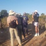 Rhino Walking Safari - What Makes This Safari a Good Value