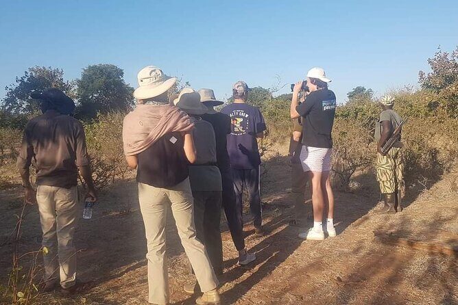 Rhino Walking Safari - What Makes This Safari a Good Value