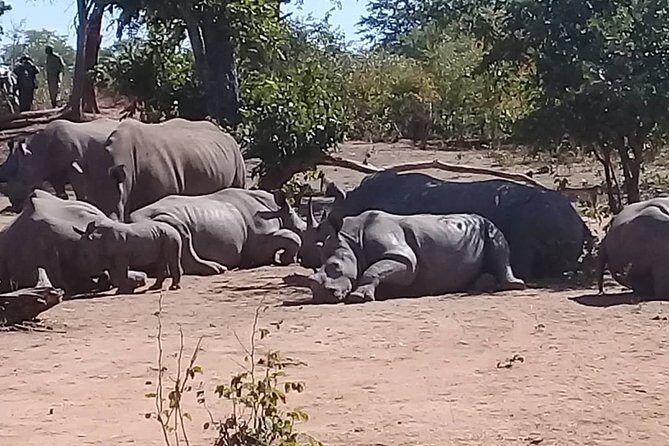 Rhino Walking Safari at Mosi-oa-Tunya National Park - The Guides: The Heart of the Experience