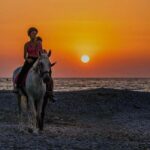 Rhodes Island: Horseback Riding at the Beach During Sunset - Why This Tour Truly Shines