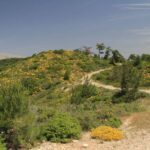 Rhodes: Safari with experienced driver - South pick ups - Additional Details and Practical Tips