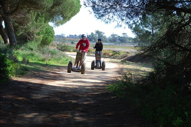 Ria Formosa Natural Park Birdwatching Segway Tour from Faro - The Itinerary in Detail