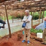Riara tea farm tour with lunch and tea tasting from Nairobi - Who Should Consider This Tour?