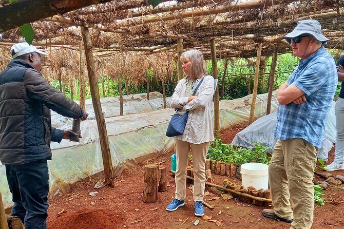 Riara tea farm tour with lunch and tea tasting from Nairobi - Who Should Consider This Tour?