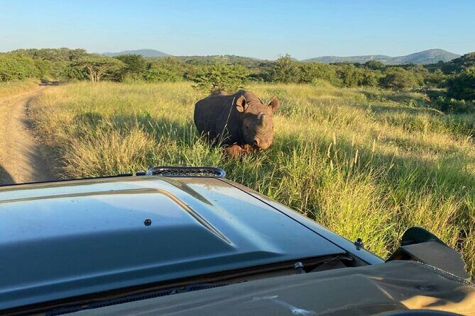 Richards Bay: Big 5 Luxury Safari at Manyoni Private Game Reserve - The Logistics and Practicalities