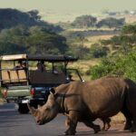 Richards Bay Shore Excursion: Private Small Group Hluhluwe Safari - Key Points