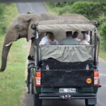 Richards Bay Shore Excursion: Small Group Hluhluwe & St Lucia - Practical Details and What They Mean for You