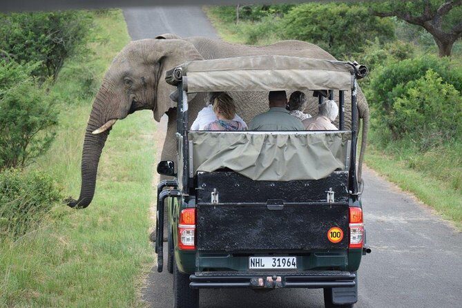 Richards Bay Shore Excursion: Small Group Hluhluwe & St Lucia - Practical Details and What They Mean for You