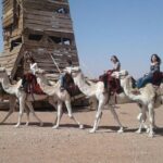 Ride the cast of famous Hollywood movies on set in their natural environment! - Pricing and Value
