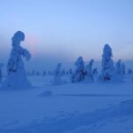 Riisitunturi National Park Snowshoe Adventure - The Campfire Break: Cozy and Communal