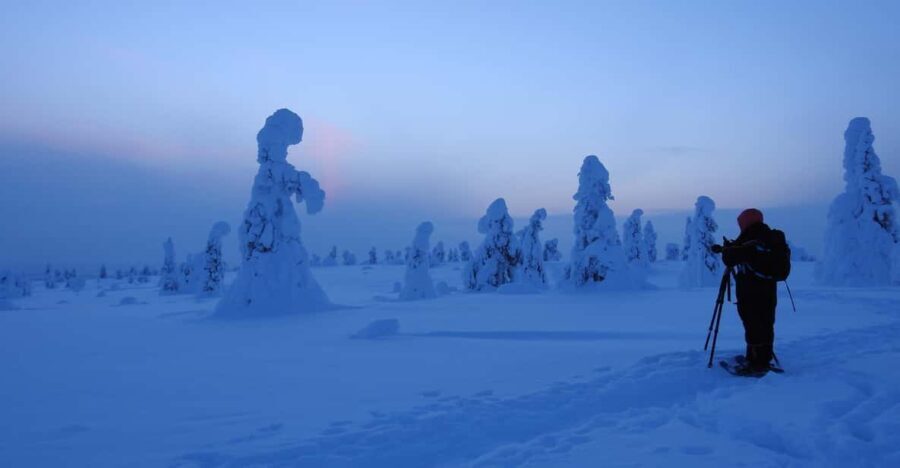 Riisitunturi National Park Snowshoe Adventure - The Campfire Break: Cozy and Communal