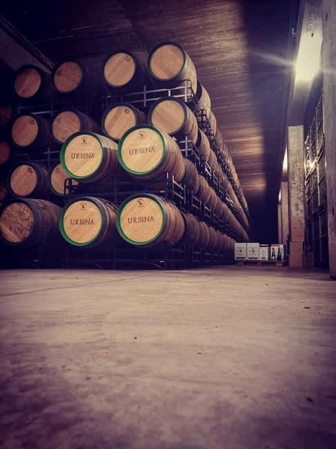 Rioja Wine Tour: 3 Wineries & Pintxos Lunch - Wineries: The Core of the Experience