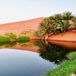 Riyadh City Tour with Camel Riding - Stop 2: Oasis Lake – A Hidden Gem