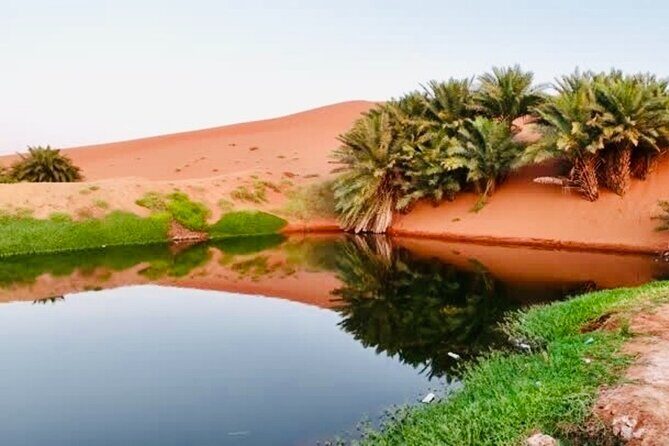 Riyadh City Tour with Camel Riding - Stop 2: Oasis Lake – A Hidden Gem