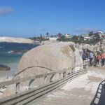Robben Island and Table Mountain Guided tour - Exploring the Itinerary in Detail