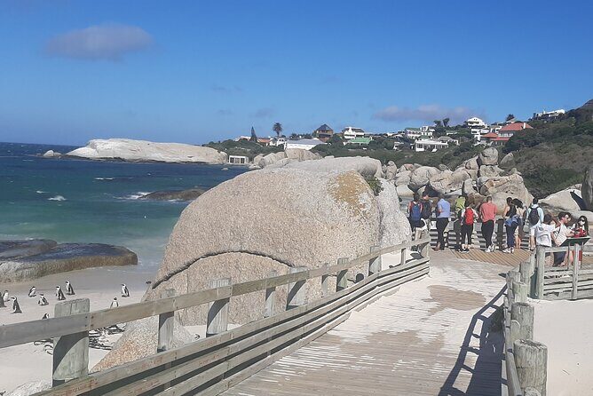 Robben Island and Table Mountain Guided tour - Exploring the Itinerary in Detail