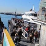 Robben Island Cape Of Good Hope Penguins Including Ferry Ticket - Who Should Book This Tour?