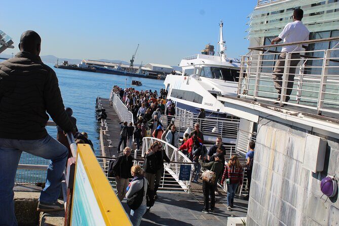 Robben Island Cape Of Good Hope Penguins Including Ferry Ticket - Who Should Book This Tour?