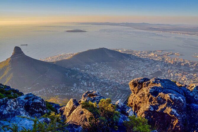 Robben Island Guided Tour & Two Ocean Aquarium with tickets - V&A Waterfront: leisure and local flavor