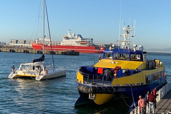 Robben Island return trfs No extras. Tickets conf 9am next day - Why Choose This Robben Island Tour?