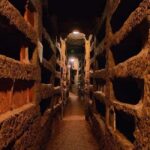 Rome: Catacombs Skip-the-Line Tour in English - Why This Tour Offers Outstanding Value